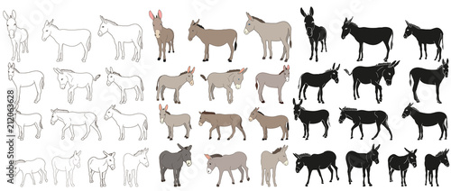 Fotomural vector isolated donkey, mule, outline, collection of silhouettes