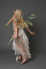 Full Length Portrait Blonde Girl Waring Fairy Costume, Standing Pose With Back To The Camera. Grey Studio Background.