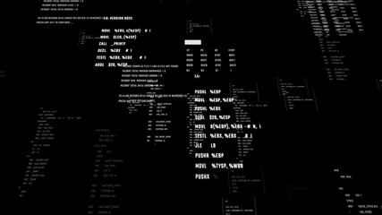 Wall Mural - abstract background with animation of coding process. futuristic interface of script programming. se