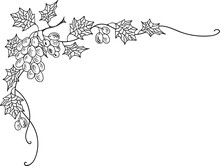 Hand Drawn Doodle Sketch Line Art Vector Illustration Of Corner Ornament Of Ripe Grape. Menu Poster Card Decoration Black Outline Design Element Template