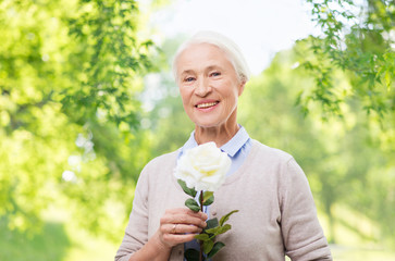 Poster - old age and people concept - happy smiling senior woman with white rose flower