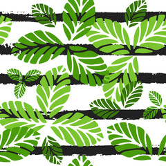 Wall Mural - tropical seamless pattern. vector background with green leaves and black stripes