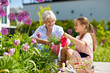 © Syda Productions - gardening, family and people concept - happy grandmother and granddaughter planting flowers at summer garden