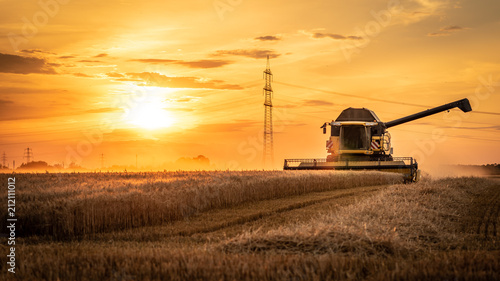 Stampa su Tela  Mähdrescher erntet auf Feld im Sonnenuntergang