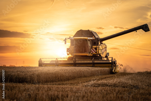 Carta da parati  Mähdrescher erntet auf Feld im Sonnenuntergang