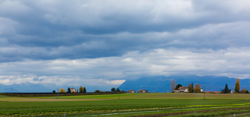 Road among green fields. The road passes near the city in the fog.