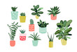 potted plants collection. succulents and house plants. hand drawn vector art.  Set of house indoor plant vector cartoon doodle.