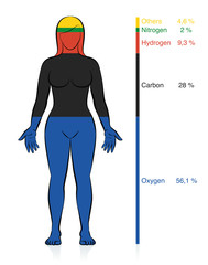 amount of the most common chemical elements oxygen, carbon, hydrogen and nitrogen in the human body 