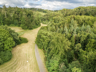 Wall Mural - Aerial view of street through forest on summer evening