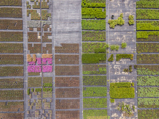 Sticker - Aerial view of rows of cultivated young plants in plant nursery in Switzerland, Europe