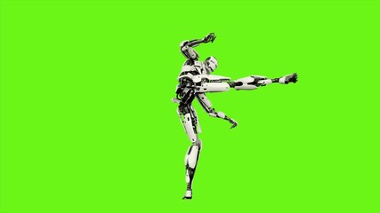 Canvas Print - Robot android is shows your fighting skills. Realistic looped motion on green screen background. 4K.