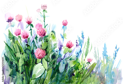 Naklejka na szafę Watercolor background with flowers, leaves and herb. Hand drawn illustration