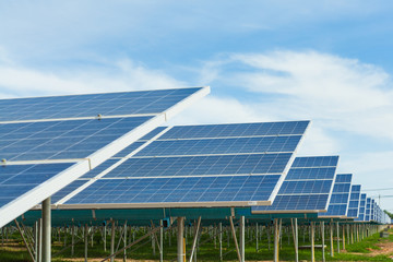 Solar farm