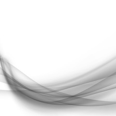Wall Mural - Grey transparent liquid smoke lines flow over white layout
