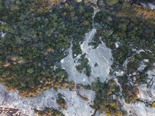 Canvas Print - aerial view of tree vegetation and rock.