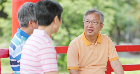 Wall Mural - Elderly friends chatting together at park