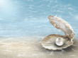 Pearl in oyster shell on sea sand with underwater ocean ripples