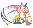 Colorful decorative portrait of horse in profile with bridle vector illustration