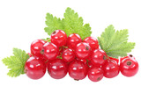 Rote Johannisbeeren Johannisbeere Früchte Frucht Blätter Beeren Obst Freisteller freigestellt isoliert