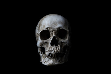 Human skull on black background