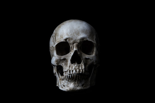 Fototapete - Human skull on black background