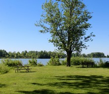 A Picnic Table On The Waterfront Of The Lake Under A Tree.
