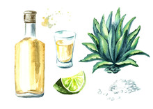 Alcohol Drink Tequila Set, Yellow Bottle Of Mexican Cactus Booze, Full Shot Glass With Slice Of Lime And Salt, Agave Plant. Hand Drawn Watercolor  Illustration, Isolated On White Background