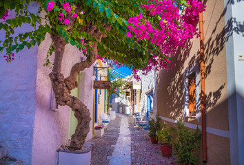 Paved narrow alley of Ano Syros in Syros island, Cyclades, Greece. Street view