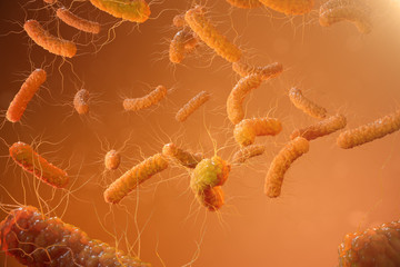 Wall Mural - 3d illustration viral infection causing chronic disease. hepatitis viruses, influenza virus h1n1, fl