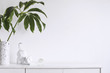 Minimalistic concept of white home interior whit copy space, tropical leaf and cat figures. Scandinavian white cupboard concept.