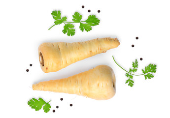 two parsnip root vegetable with coriandrum leaf isolated on white background, top view, flat lay