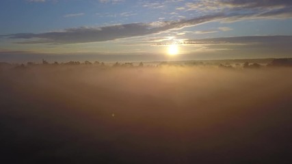 Wall Mural - beautiful aerial shot of thick layer of fog on fields during sunrise with expanse and endless skylin