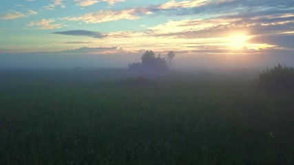 Wall Mural - beautiful sunrise, fog on field in nature with colorful clouds on background