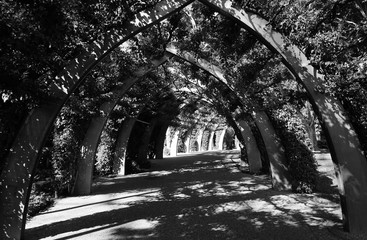 Pathway South bank Brisbane