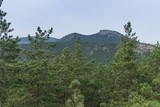 Fototapeta Na ścianę - Borovoe, Burabay, spruce, mountains