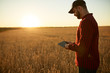 © artiemedvedev - Smart farming using modern technologies in agriculture. Man agronomist farmer with digital tablet computer in wheat field using apps and internet, selective focus. Male holds ears of wheat in hand.