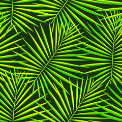 Naklejka dżungla wzór roślina las
