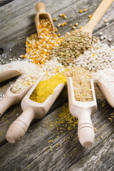 Wall Mural - corn, millet, lentil, bean and other uncooked grain foods on old wood table background