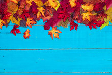 Welcome Fall Autumn Leaves Free Stock Photo - Public Domain Pictures