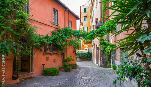 Plakat Wygodna ulica z roślinami w Trastevere, Rzym, Europa. Trastevere to romantyczna dzielnica Rzymu, wzdłuż Tybru w Rzymie. Turystyczne przyciąganie Rzymu.