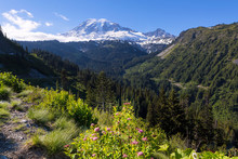 Mount Rainier From Scenic Viewpoint