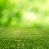 Fototapeta Perspektywa 3d - Green grass field bokeh