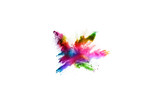 Fototapeta Motyle - abstract powder splatted background. Colorful powder explosion on white background. Colored cloud. Colorful dust explode. Paint Holi.