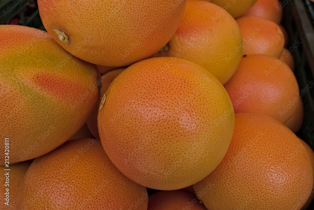 Photo Stock The grapefruit (Citrus × paradisi) is a subtropical citrus ...