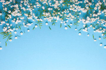 white flowers composition on blue