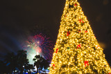 Fototapeta Mosty linowy / wiszący - New year tree and firework