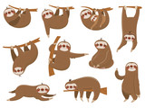 Fototapeta Pokój dzieciecy - Cute cartoon sloths. Adorable rainforest animals, mother and baby on branch, funny sloth animal sleeping on jungle tree vector set