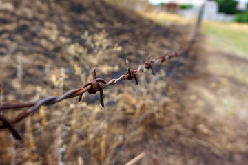 A barbed wire fence with posts on a field in the countryside close