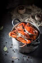 Homemade Crab With Allspice And Bay Leaf In Metal Pot