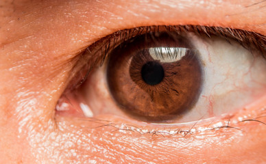 macro photo of the eye. blood vessels on the eyes. eyelashes in macro. pupil close-up.Selection focus only on some points in the image.